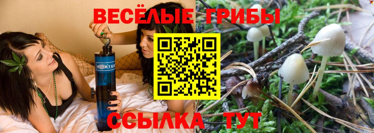 Псилоцибиновые грибы Psilocybine cubensis  Галлюциногенные грибы прущие грибы  Киржач  Вход с VPN 